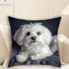 1pc Cute Maltese Dog Print Plush Pillowcase 44.96cm X 44.96cm - Soft Polyester Fiber, Zipper Closure, Machine Washable, Perfect for Sofa, Bedroom, Off