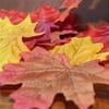 Autumn Maple Leaf Decorations: DIY Wedding and Craft Petals
