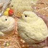 Cute Squishy Chick Press Plaything Handmade Yellow Big Chicken Plush Silicone Plaything Stress Ease Sticky Doll Kawaii Gift For Children