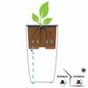 Plant pot EDA