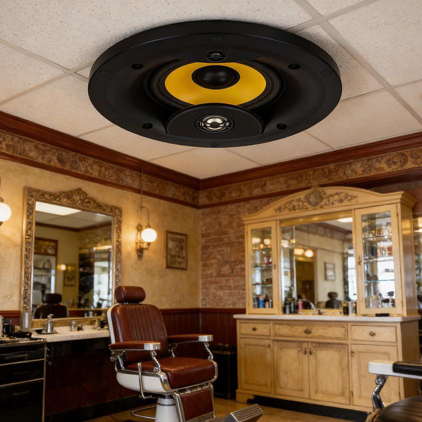

Tianlai 5 30W Ceiling Speaker, Three-Way for Hair Salons, Malls, Supermarkets, Broadcasts (Model 925)