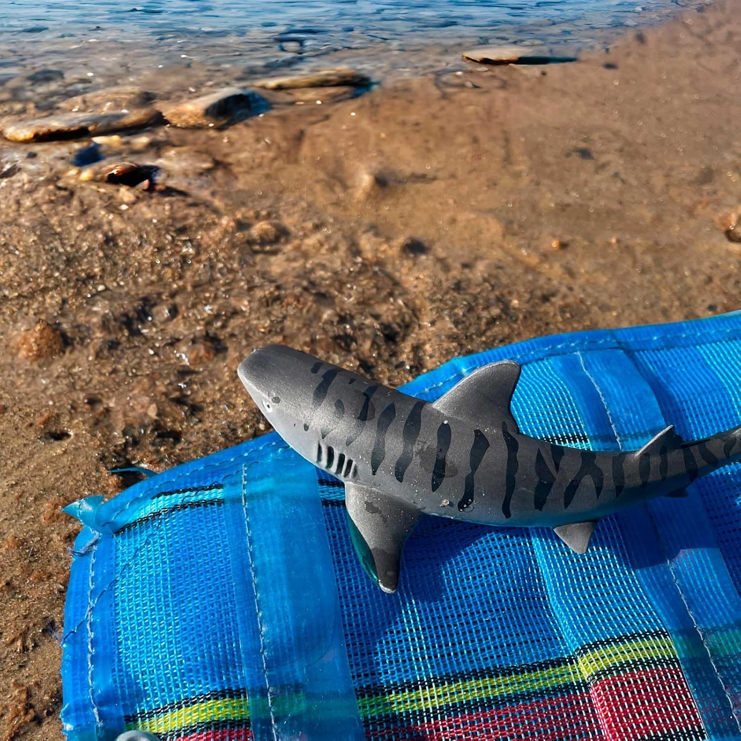 Safari Ltd. Tiger Shark Figurine - Detailed 4.5 Plastic Model Figure - Fun Educational Play Toy for Boys, Girls & Kids Ages 3+