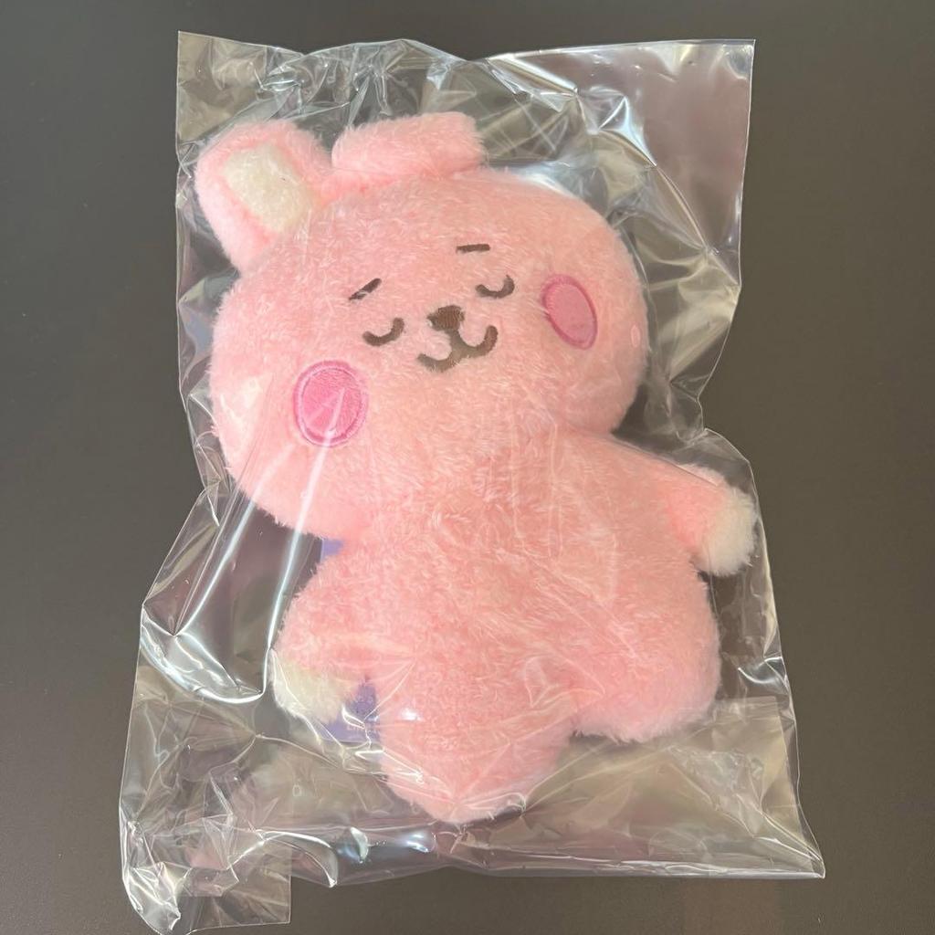 [GEBRAUCHT] BT21 COOKY Plüschtier, Baby, Schlafend, Größe S, Jungkook