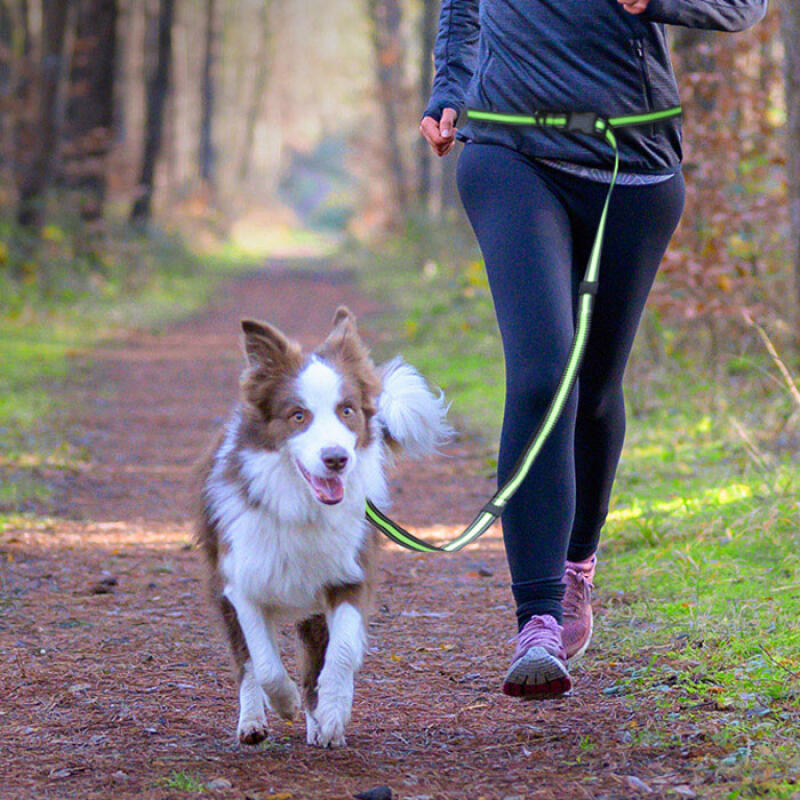 Dog Walking Leash, Leash, Collar, Harness Walking Running Rope Green