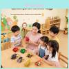 Educational Insect Toy Set With Plastic Crawling Figures And Recognition Cards For Kids