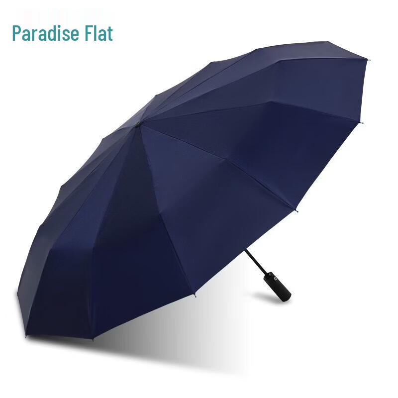 Paradise Automatic Folding 12-Rib Sun & Rain Umbrella