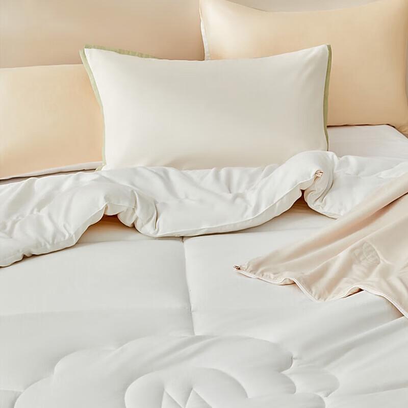 Mercury Soft Sleep Overture Antibacterial Silk Wool Blend 2-in-1 Comforter