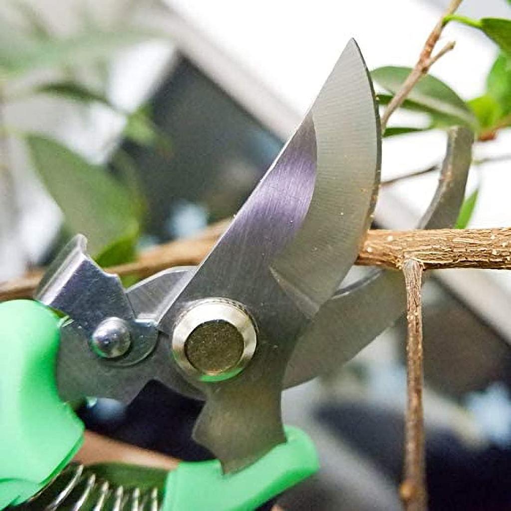 Professional Garden Scissors Stainless Steel Shears Bypass Pruning Tree Thick Branch Trimming Beak Scissors Sharp Hand Pruners