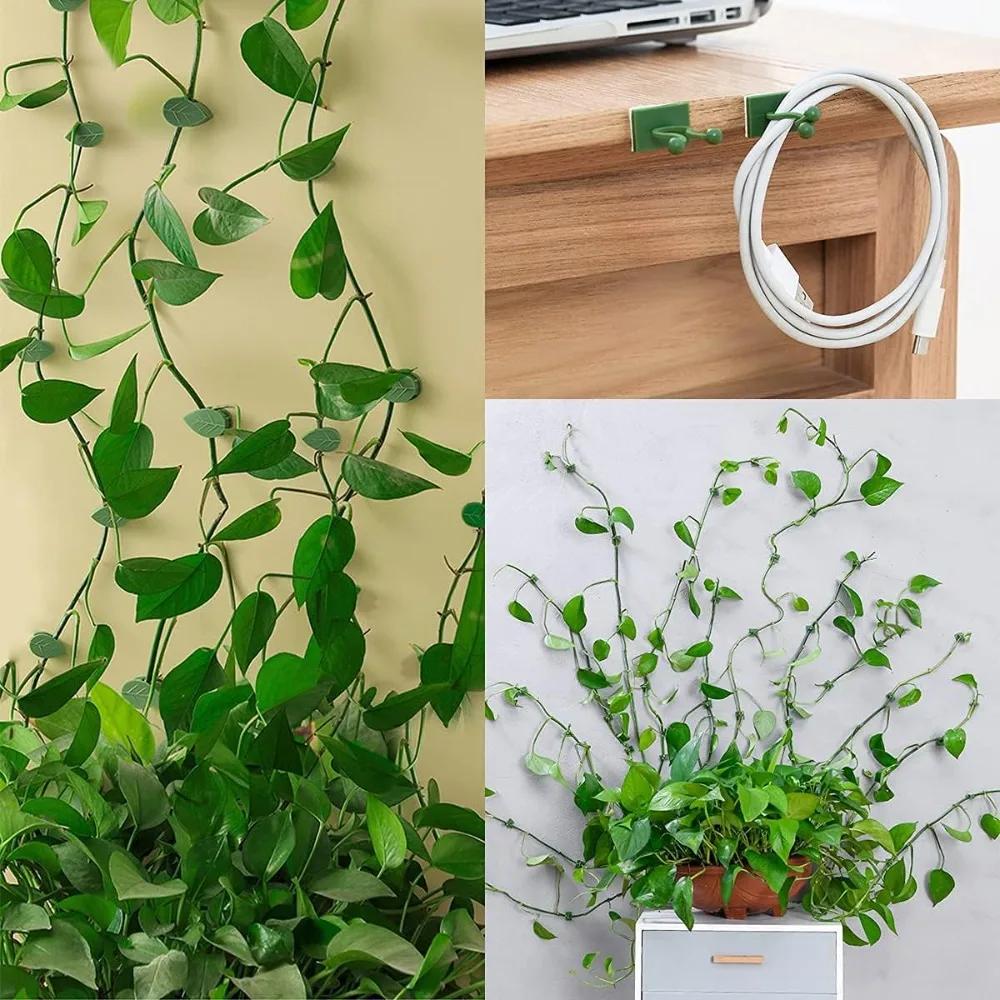 10-100PCS Plant Climbing Wall Fixture Clips Self-Adhesive Invisible Plant Support Garden Vine Climbing Fixture Plant Accessories