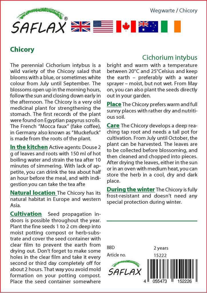 SAFLAX Garden In the Bag - Chicory  - 250 Seeds - With Substrate In a Fitting Stand Up Bag - Cichorium Intybus