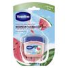 Vaseline Watermelon Lip Balm & Whisper Sanitary Napkins Bundle