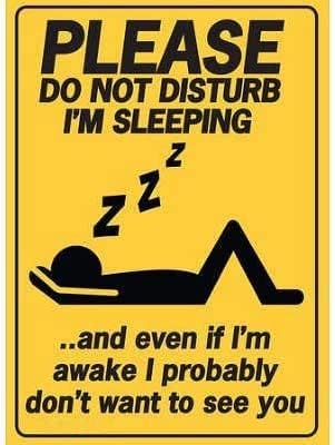 

Tin Signs Funny Antique Metal Sign Please Do Not Disturb Im Sleeping Tin Sign Vintage Decoration Garage Home Garden Cafes Kitch 20x30cm（7.8x11.8inch）