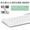 Elecom Kabelová klávesnice s konektorem Lightning, US Layout, pantograf, bílá TK-LCP01WH