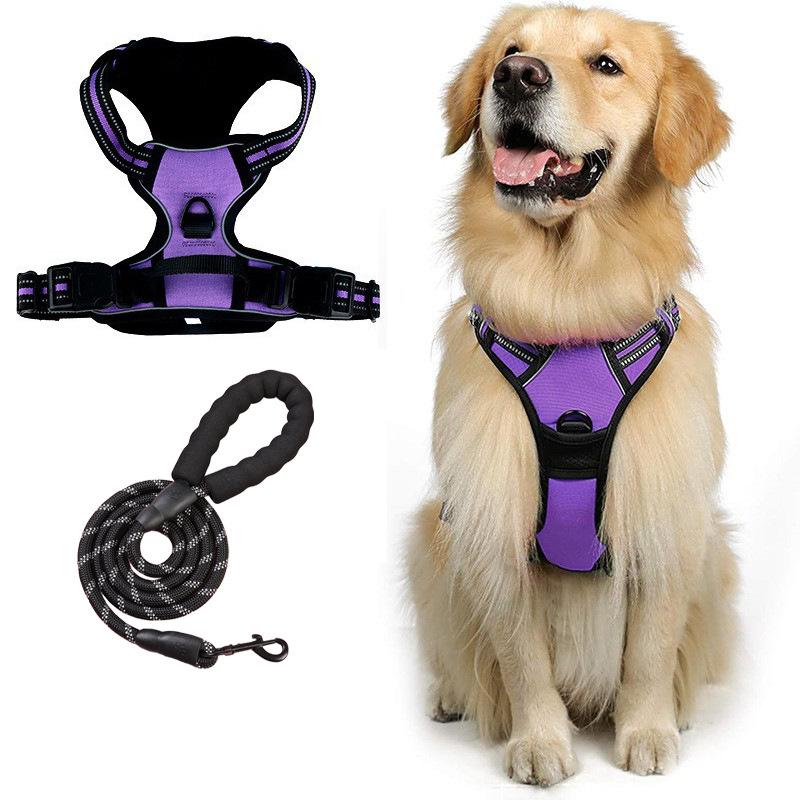 Hundeleine, Explosionsgeschützt, Stoßfest, Ausbruchsicher, Brust- und Rückenband für große Hunde, Reflektierende Hundeleine, Westenstil Haustier