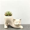 3D Printed Kitten Planter Irregular Shape Desktop Decoration Cute Cat Plant Pot  Gardening Gift