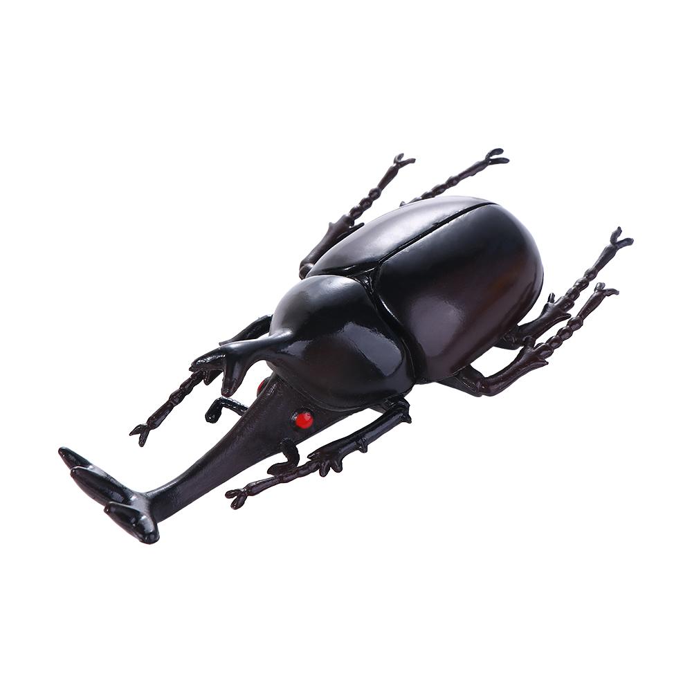 Fake Beetle Beetle Figures Simulation Animals Insect  Beetle  Special Lifelike Model Insect Model Simulation Beetle