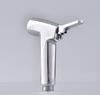 High Quality Eco-Friendly Modern ABS Chrome Bidet with PVC Faucet Wall-Mounted Shattaf for Bathroom Toilet Spray