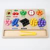 Montessori Matching&Sorting Game Wooden Fruit Clip Beads Color Shape Sensory Sorter for Kids Fine Motor Skills Early Education