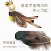 SONGWAY Cat Toys, Cat Teasers, Feathers, Insects, Butterflies, Large Flying Bugs, 8 Replacement Pieces
