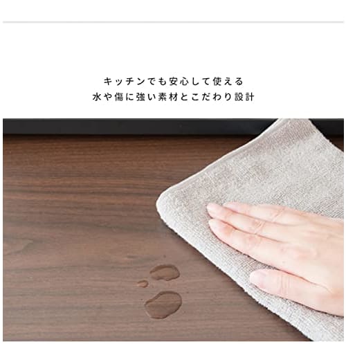 Miyatake Seisakusho Avenir Under-Microwave Tray with Full Slide Rails, Double Rail, 80cm Wide X 40cm Deep X 5cm High, TY-002 (White)