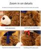 Graduation Bear Plush Doll with Doctoral Hat – Commemorative Bachelor Gift