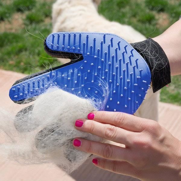 SHOP-STORY - Gant de brossage pour toilettage de poils d’animaux de compagnie Chien Chat