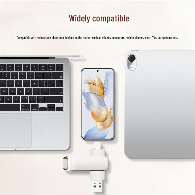 OLOEY Dual-Interface Metal USB Flash Drive