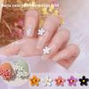 5 Sets of Nail Metal Small Flower Nails Frosted Hyuna Three-dimensional Color Flower Nail Art Accessories