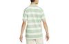 Nike Polo Shirts Men's Green Polo Collar Moderate Straight Fit DH0901-308