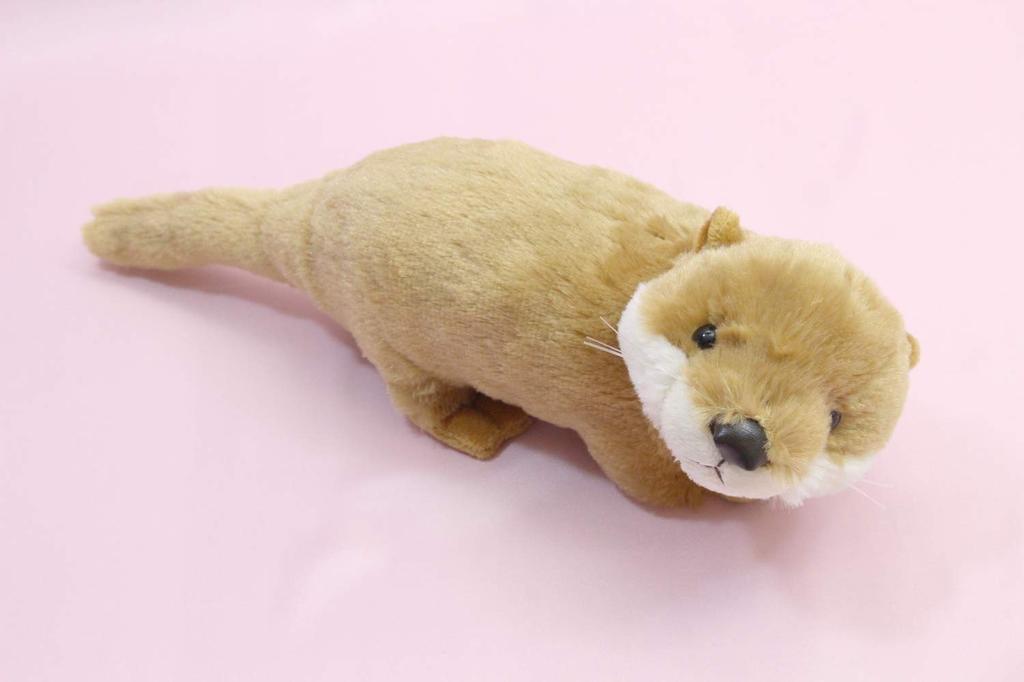 Takeoff Otter Kriechend Typ Mittelbraun