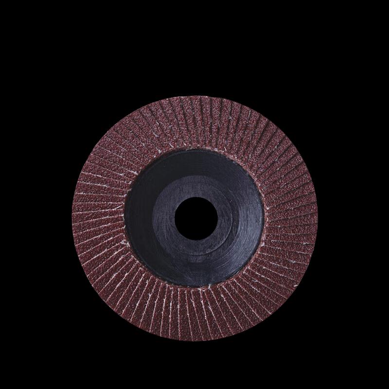 Dongcheng Flap Disc Grinding & Polishing Wheel CN plug (adapter included)