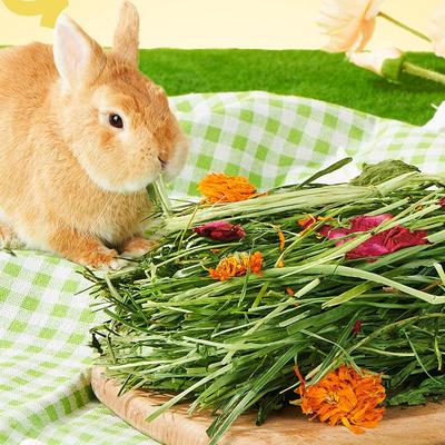 Kaninchen Heuballen Sicher Natürliches Gras Heu Einstreu Für Hamster Gesundes Haustierfutter Verbessert die Verdauung Für Kleintiere Rennmäuse