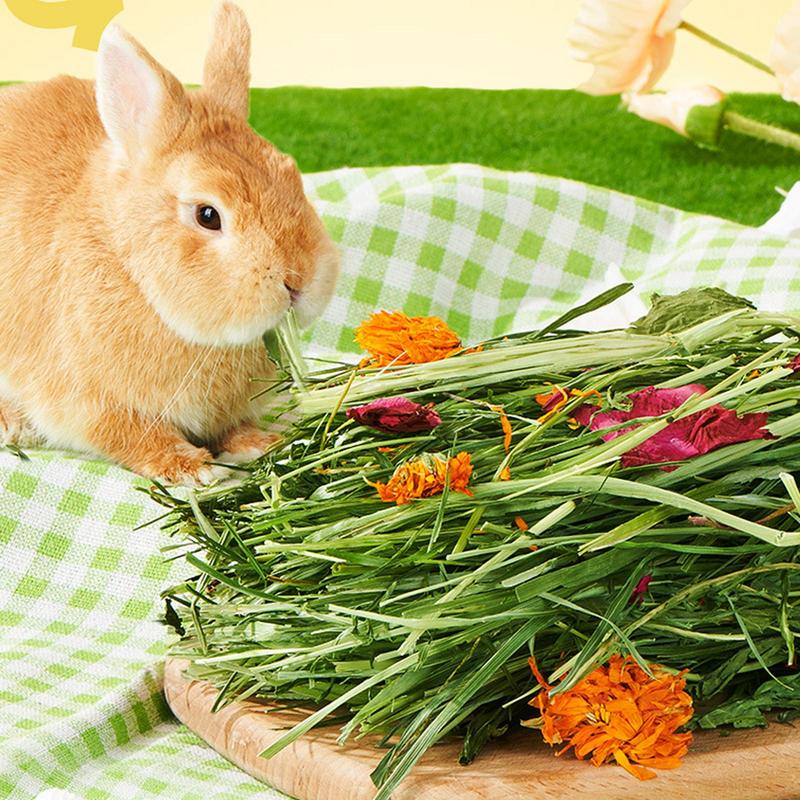 

Rabbits Hay Bale Safe Natural Grass Hay Bedding For Hamster Healthy Pet Food Improves Digestion For Small Animal Gerbils United States