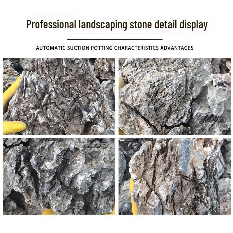 Azure Dragon Aquarium and Bonsai Landscaping Stone Set