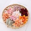 10PCs Silk Artificial Flowers 7Cm Dahlia Flower Heads Home Wedding Decoration Wall Hanging Garden DIY Accessories Wreath Jewelry