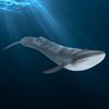 Simulation Whale Miniature Animal Toy Collection Figurine Home Decor Ornament (Blue Whale)