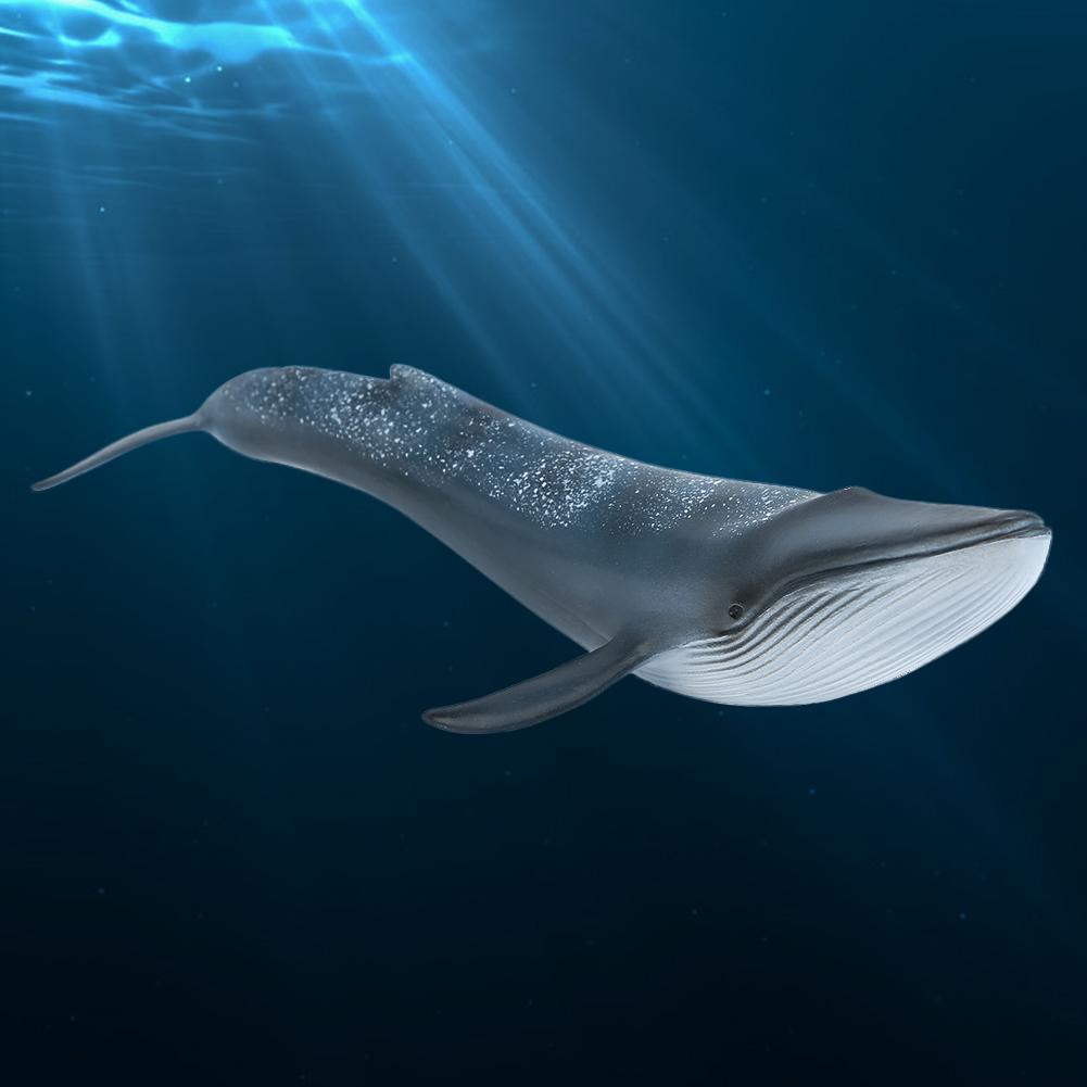 Simulation Whale Miniature Animal Toy Collection Figurine Home Decor Ornament (Blue Whale)