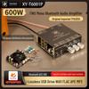 XY-T6001P 600W Bluetooth Amplifier Board with TPA3255 & TWS Stereo Speakers