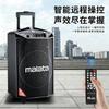 Malata Portable Outdoor Karaoke Speaker (CN Version)