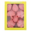 16Pieces Tropical-Leaf Cookie Cutter-Mold for Cake Decorating Mini Plastic Fondant Mold DIY Baking Tool DIY Cookie-Stamp