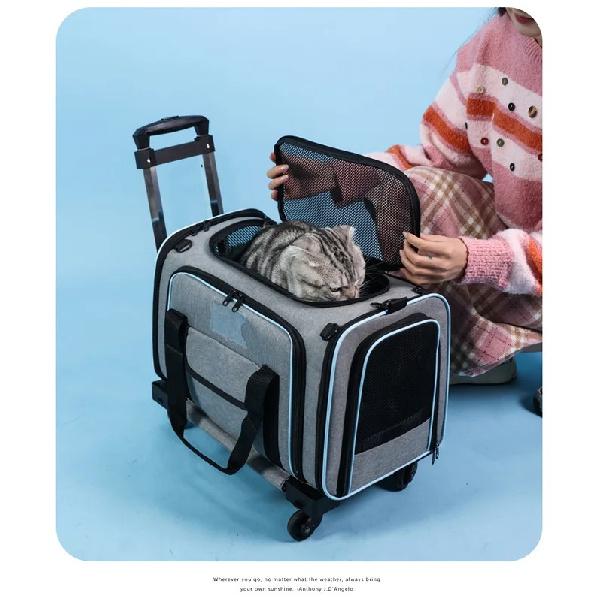 Expandable Drawbar Bag, Cat Bag, Portable Outdoor Cat and Dog Pet Bag, Breathable Portable Air Box, Cat Bag 2026 New