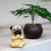 Yoga Meditation Dog Ornament Sitting Pug Indoor Outdoor Garden Home Statue Animal Sculpture Office Desktop