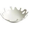 Creative coral artistic conception dish dish insfeng family restaurant senior ritual tableware fruit salad dish