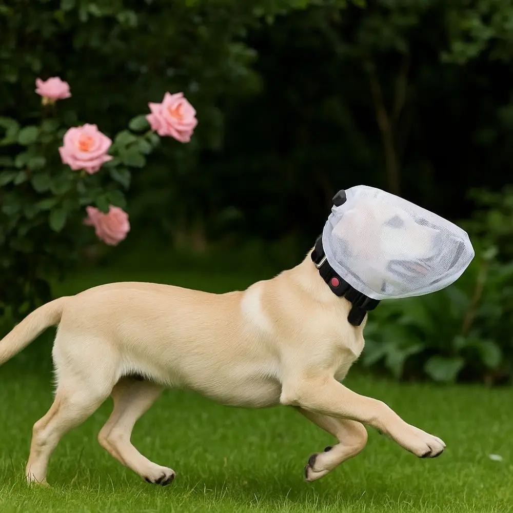 Outdoor Pet Bite Prevention Headgear Adjustable Dog Protective Mask Breathable Pet Protective Veil Portable Mosquito Proof Mask