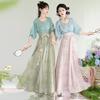 Chinese Tang Dynasty Style Hanfu Printed Tang Robe Top Waist Skirt Modified Daily Suit For Women