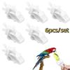 6Pcs Mini Pet Bird Food Clip Plastic Parrot Fruit Vegetable Clip  Pet Parrot Feeding