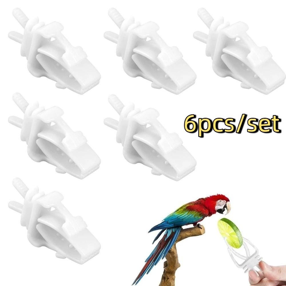 6Pcs Mini Pet Bird Food Clip Plastic Parrot Fruit Vegetable Clip  Pet Parrot Feeding