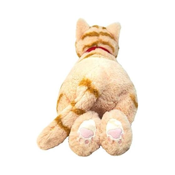 Knee cat stuffed toy brown M size P-1812