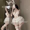 Sexy Lingerie Cute Fluffy Princess Dress Uniform Sexy Lace Perspective Suspender Onesie Temptation