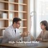 Miniature Hanging Spine Model 3D for Classroom, Medical Office
